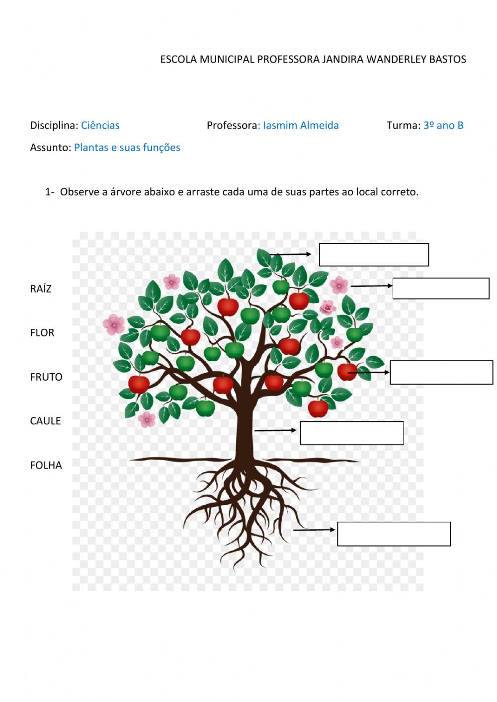Ciências - Árvores e suas funções
